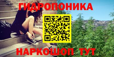 прущие грибы Жуковский