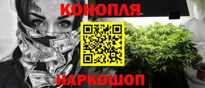 прущие грибы Жуковский
