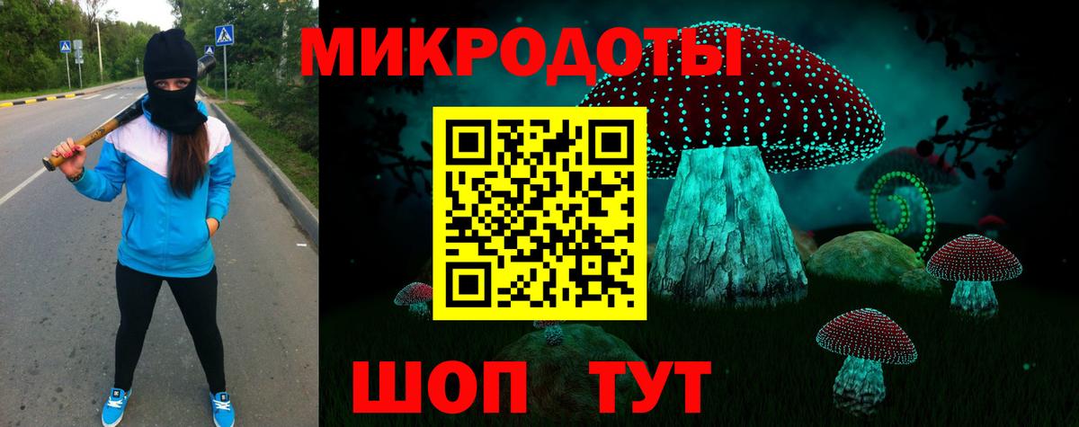 Галлюциногенные грибы Cubensis Минусинск