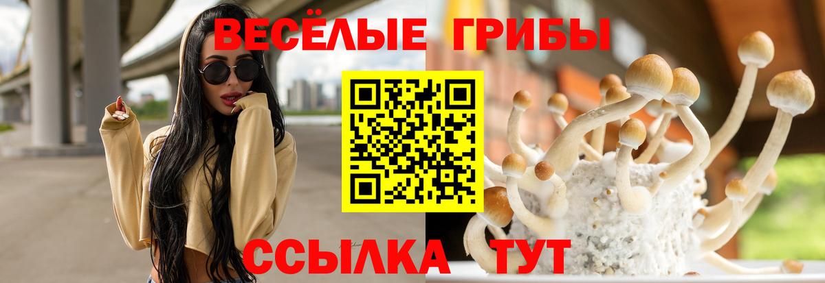 Псилоцибиновые грибы Psilocybine cubensis  Вход с VPN  Минусинск 